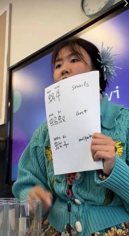 30岁的Missya在澳洲小学当中文老师（一条授权使用）