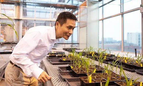何川。图源：芝加哥大学