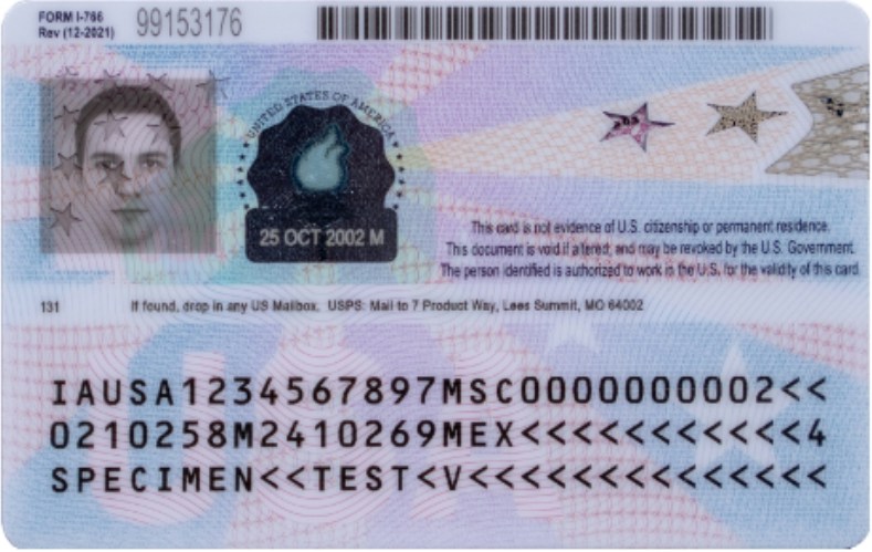 美国移民工作许可证（EAD）背部。（uscis.gov）